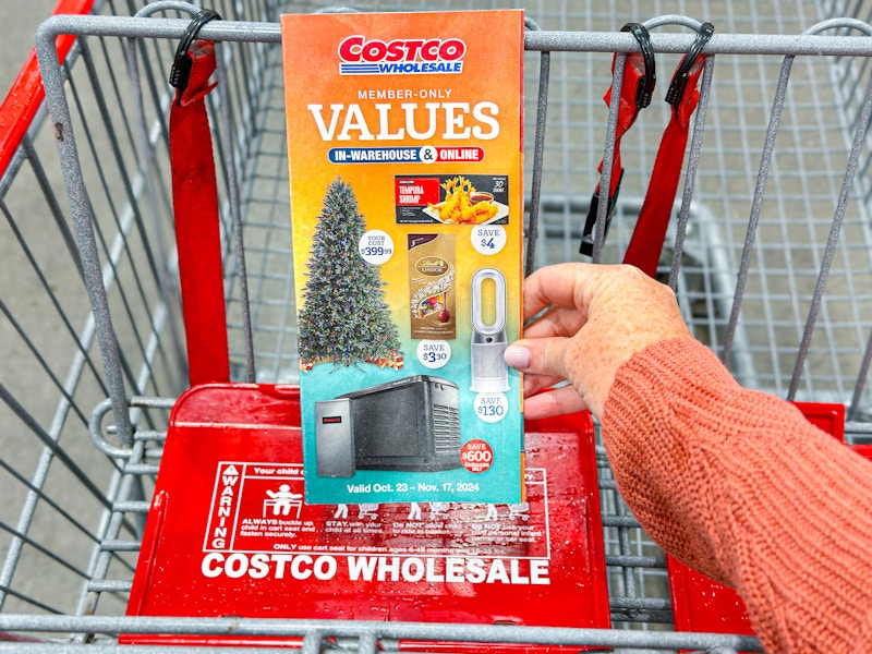 Costco Nov coupon book in cart