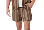 Arizona Men's Shorts
