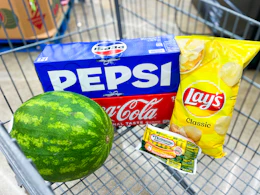 labor day grocery food deals in shopping cart