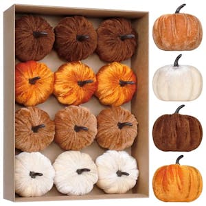 Velvet Pumpkins 12-Pack