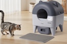 cat walking towatds self-cleaning litter box