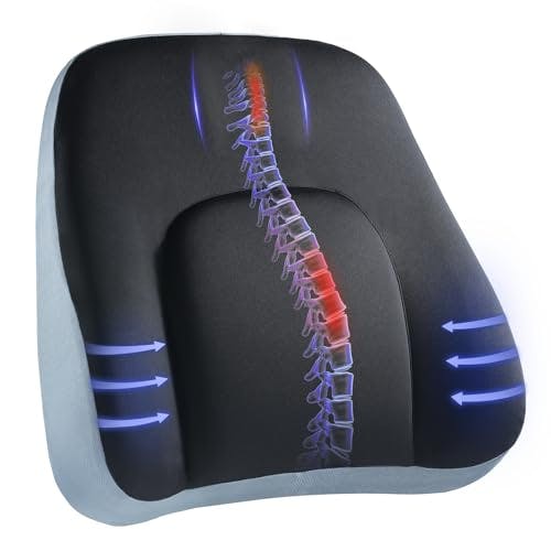 Lumbar Support Pillow