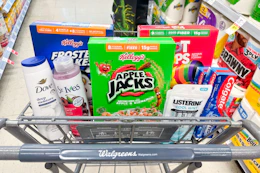 walgreens groceries in shopping cart