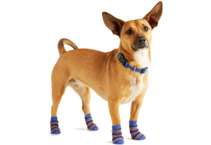 Youly Dog Socks