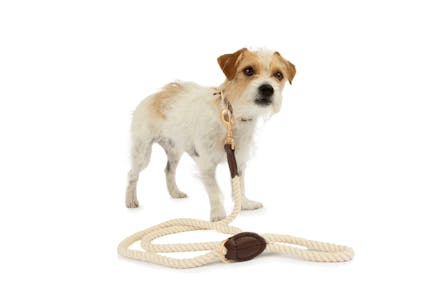 Twisted Rope Dog Leash