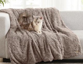 a cat on a brown fur blanket on a couch