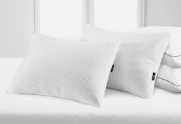 Score 2 Sertapedic Pillows for $10 at Walmart card image