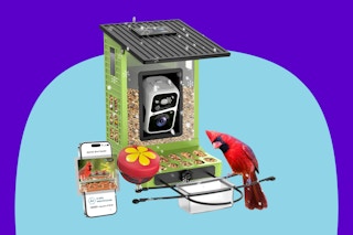 Rayki Metal Solar Powered Smart Bird Feeder with Camera on a blue background.
