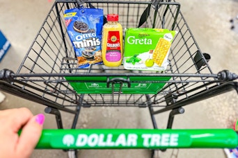 oreo, gulden's, and great products in a dollar tree shopping cart