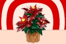 Lego Icons Poinsettia Plant Building Set (Holiday Home Décor) stock photo