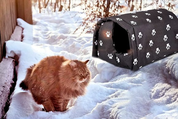 This Outdoor Cat House Is as Low as $18.60 at Walmart