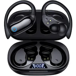 Active Noise Cancelling Earbuds