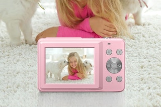 child taking picture of themselves with dogs