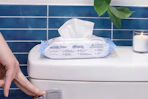 Flushable Wipes B0FKD2MN6D