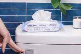 Flushable Wipes B0FKD2MN6D