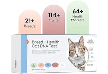 Basepaws Cat DNA Test Kit