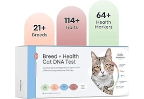 Basepaws Cat DNA Test Kit