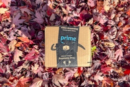 Amazon box on leaves