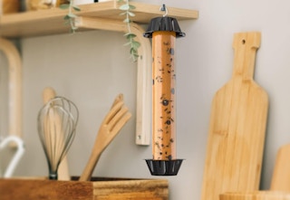 black decker fruit fly trap hanging up