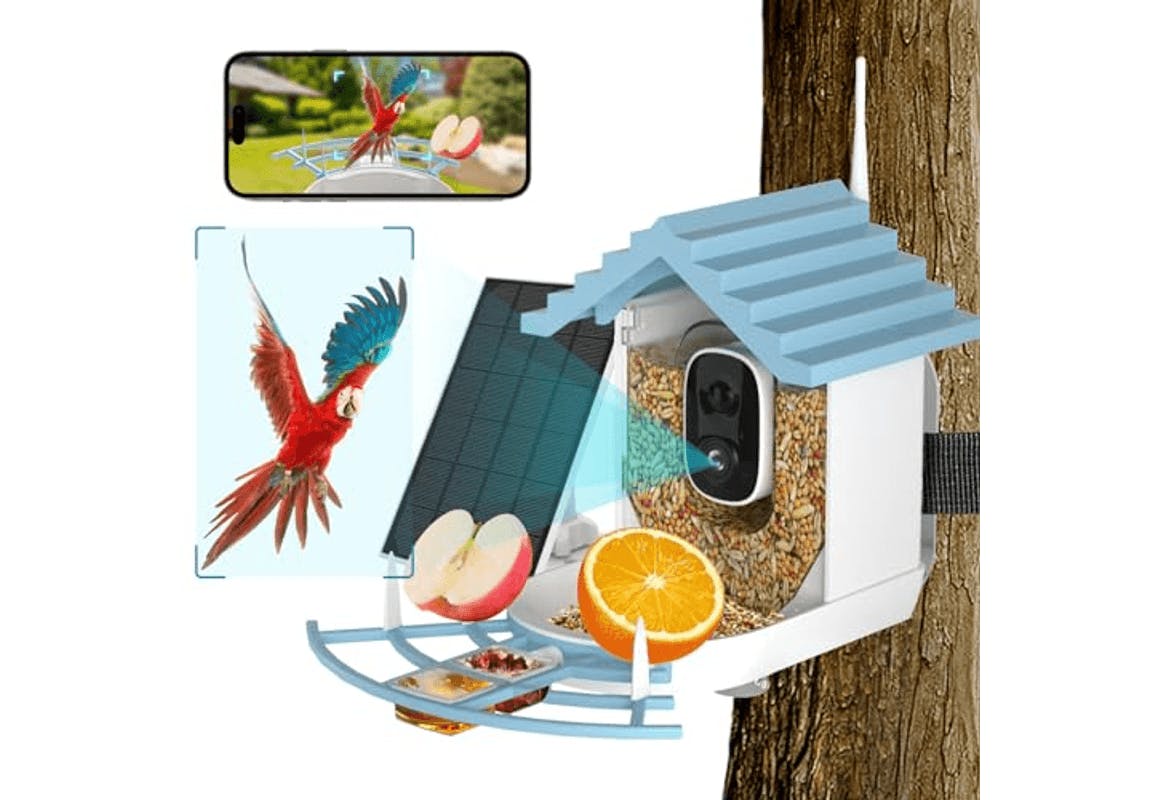 Smart Camera Bird Feeder