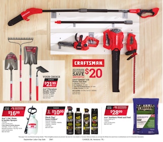 Ad Scan Image