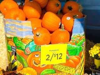 kroger-pumpkins-2