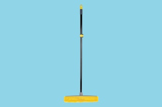 a pet hair cleaning broom