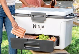 This Ninja FrostVault Hard Cooler Is Just $130 After Kohl’s Cash (Reg. $250) card image