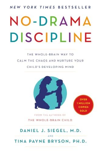 No-Drama Discipline eBook
