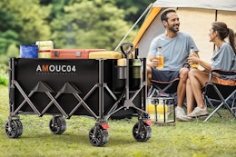 Collapsible Wagon Cart Drops to $44.99 With Amazon Promo Code (Reg. $90) card image