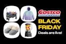 Costco's Black Friday 2024 Deals Are Here — See Our Favorites card image