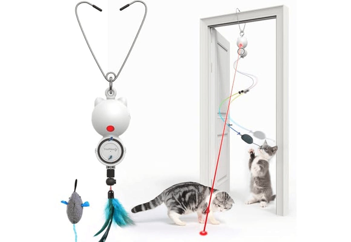 Interactive Laser Cat Toy