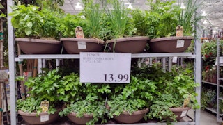 costco herbs 05242022 1653419865 1653419865