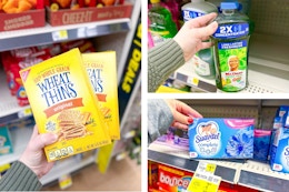 dollar general wheat thins, mr. clean, suavitel 3-photo collage