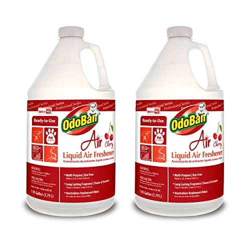 OdoBan Air Freshener 2-Pack