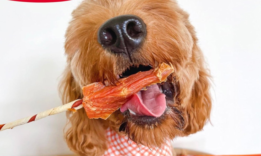 Amazon Good -N- Fun Dog Treats 2025