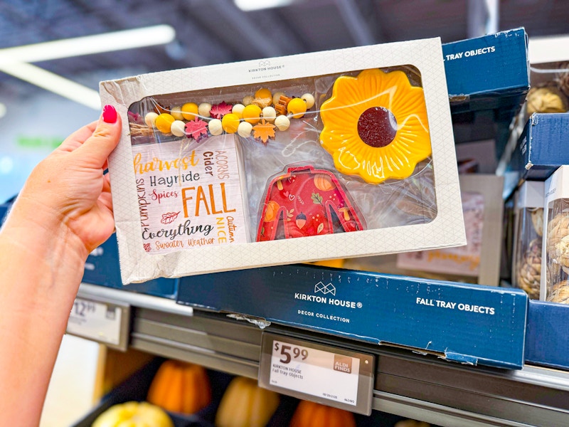 aldi-fall-tray-objects