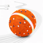 Interactive Pet Ball