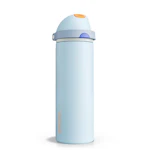 Insulated Water Bottle