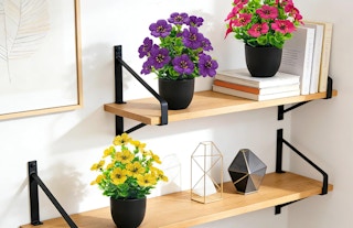 bundles of flowers in pots on floating shelves on the wall