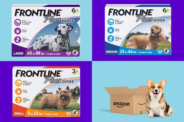 Frontline Plus Flea and Tick Treatments, as Low as $25.52 for Amazon Pet Day card image