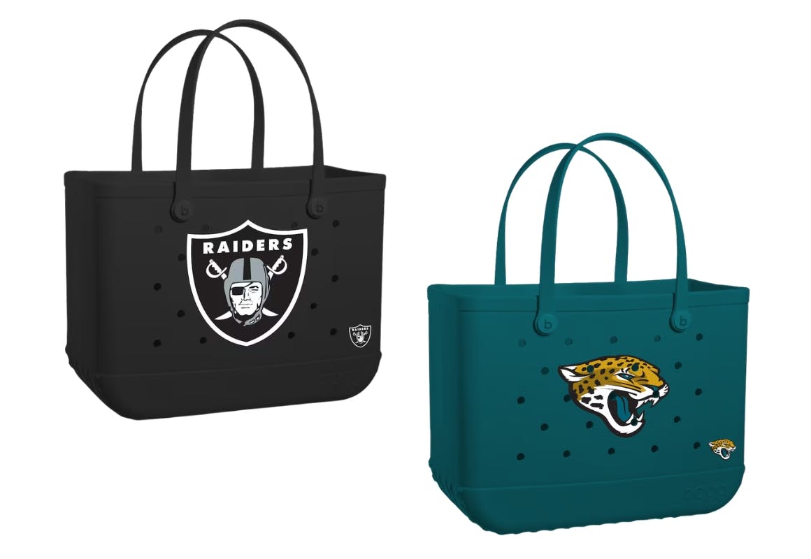 NFL Bogg Bag