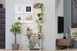 8-Tier Plant Stand With Grow Lights, Only $27.99 on Amazon card image