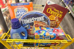 dollar general groceries in a shopping cart