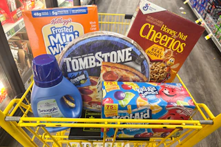 dollar general groceries in a shopping cart