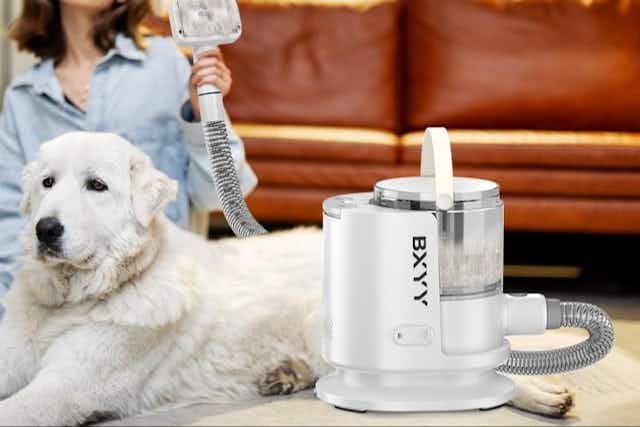 Dog Grooming Kit and Vacuum, Only $50 on Amazon (Reg. $100) card image