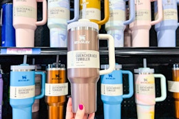 Stanley Clean Slate Tumblers at Dick's, Rose Quartz Glow