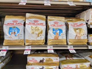 royal canin dog food