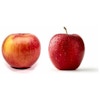99¢/lb EverCrisp or Cosmic Crisp Apples