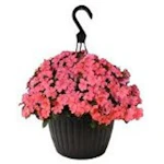 Save $5.00 on Outdoor Floral